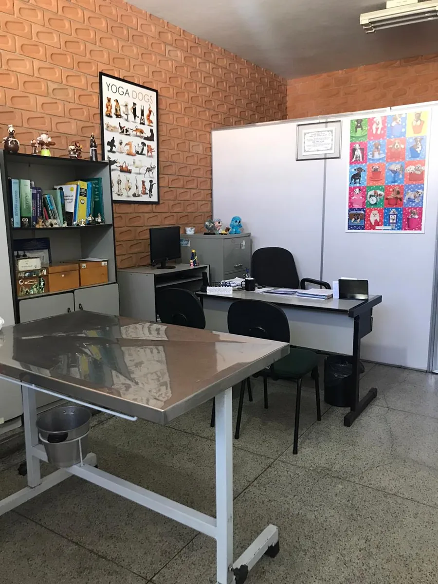 Consult&oacute;rio da Bichos & Mimos com mesa de a&ccedil;o inox para exame de cães e gatos em Pindamonhangaba