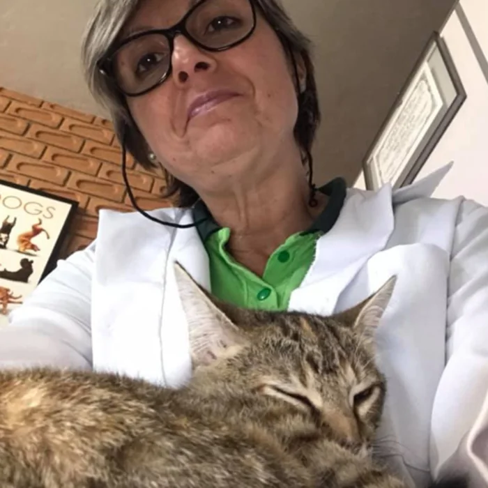 Veterin&aacute;ria da Bichos & Mimos segurando um gato no colo durante atendimento em Pindamonhangaba