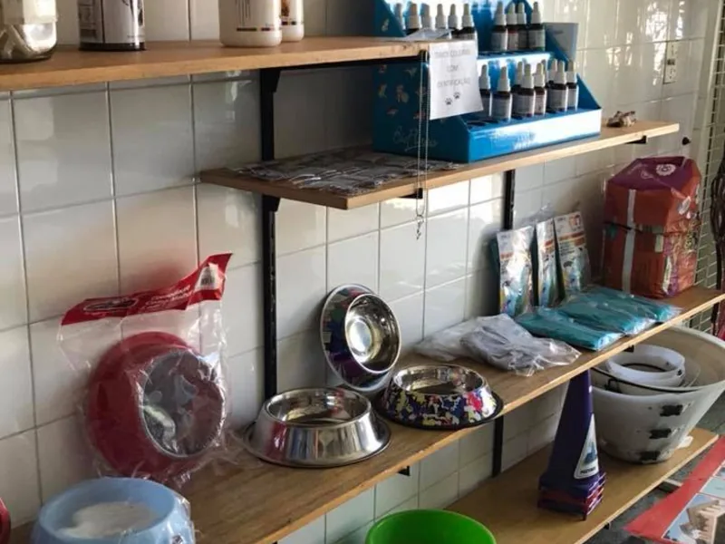 Camas e casinhas para cães e gatos em diversos tamanhos